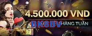 BK8BV