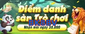 BK8BV