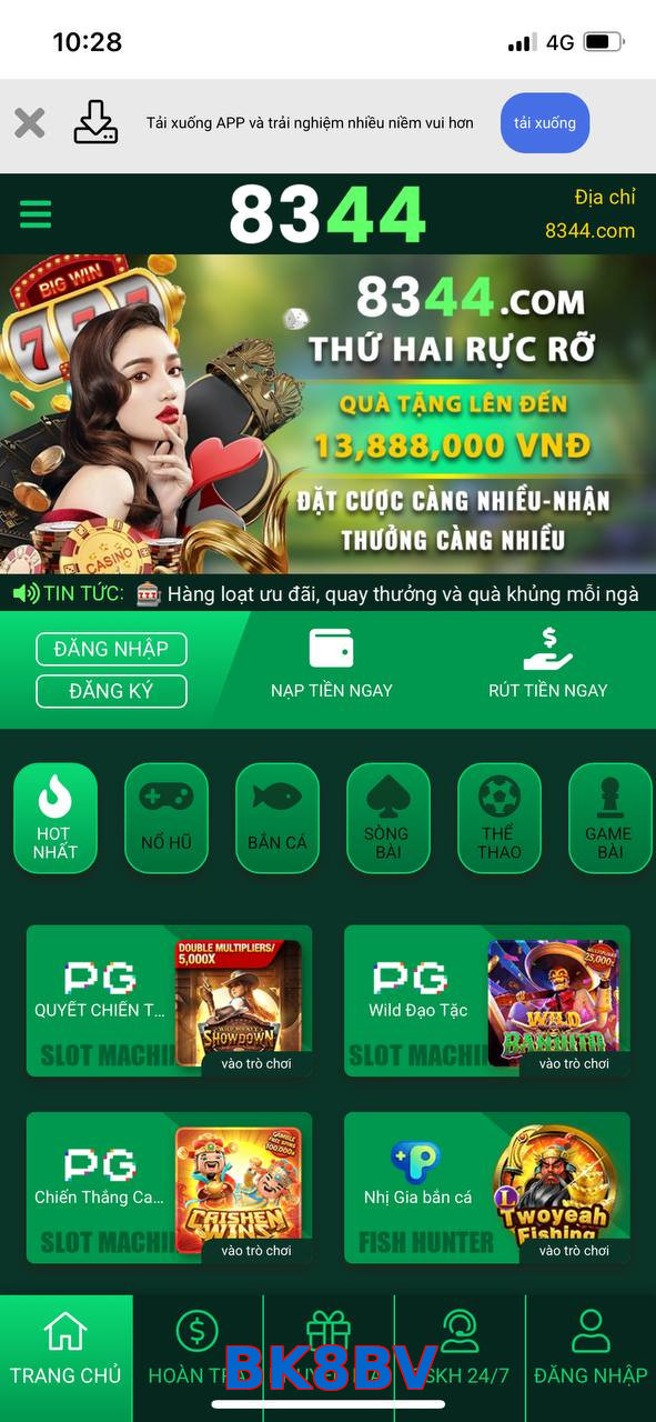 BK8BV