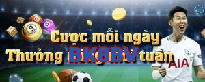 BK8BV