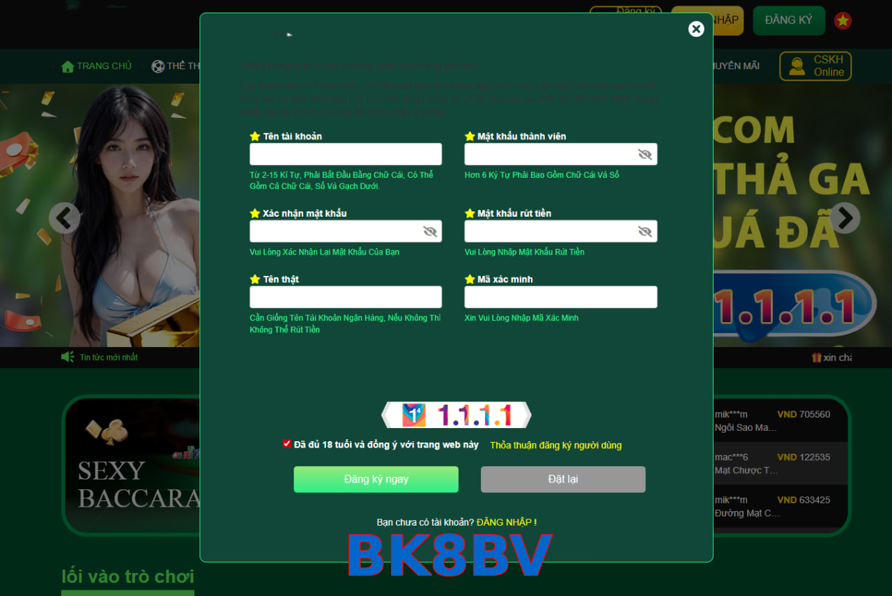 BK8BV